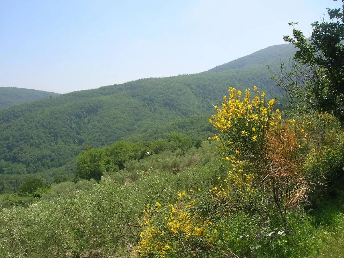 Agriturismo Casa Degli Ulivi Villa Barberino di Mugello Farm stay