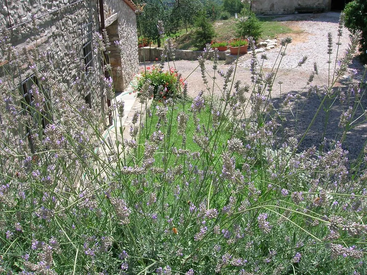 Agriturismo Casa Degli Ulivi Villa Barberino di Mugello